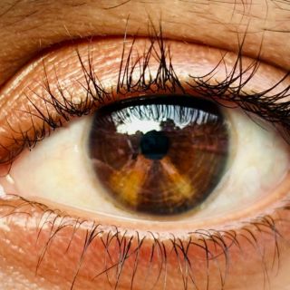 Apoyo al cristalino y la retina