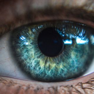 Mayor confort visual diario